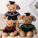 Custom LOGO Graduation Bear