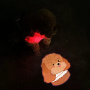 Customizable Mini Projector Lights Customizable Mini Projector Lights
