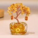 盆景水晶树