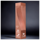 Creative Metal Trophy