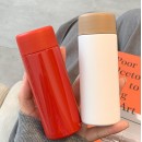 Frosted Portable Mini Tea Insulated Mug