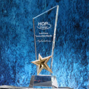 Star Crystal Trophy