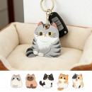 Cat access control card holder