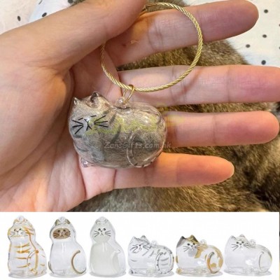 Cute Kitten Transparent Hair Storage Box Cute Kitten Transparent Hair Storage Box