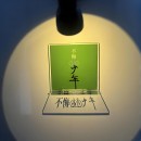 Projection fridge magnet Projection fridge magnet
