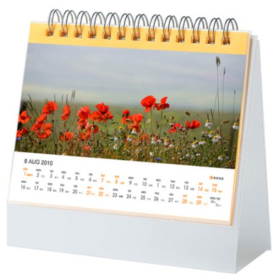 Calendar Souvenir