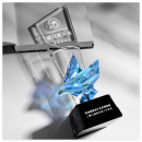 Colorful Flying Dove Crystal Trophy