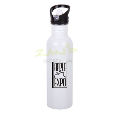 Stainless Steel Sport Bottle