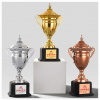Large Metal Trophy