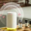 Pure Essential Oil Waterless Aromatherapy Diffuser