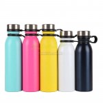 Stainless Steel Bottle