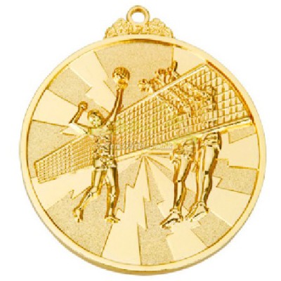 Volley Ball Medal