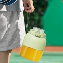 Juicer Portable