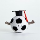 毕业毛绒球公仔