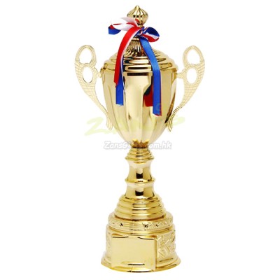 Trophy Cup