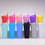 Double-Layer Straw Cup