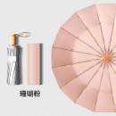 Three-folding Umbrella