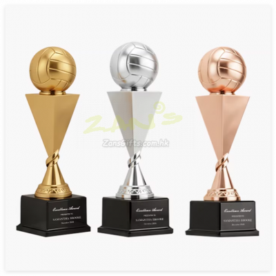 金屬排球獎杯