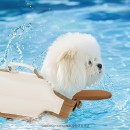Pet Life Jacket
