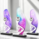 Aluminum Crystal Trophy