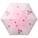 Capsule umbrella