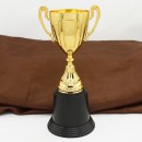 Trophy Cup