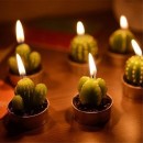 Cactus Candles Gift