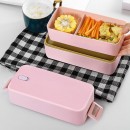 Double Layer Japanese Bento Box