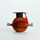 毕业毛绒球公仔