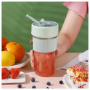 Portable Juicer