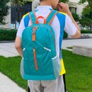 Folding Backpack