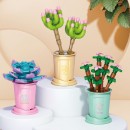 Coffee Cup Plant Series Building Blocks-12 Constellations Succulent Series Coffee Cup Plant Series Building Blocks-12 Constellations Succulent Series