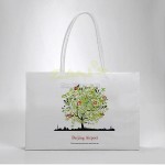 Color Printing Paper Bag