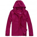 Pure Color 3 in 1 Coat Windbreaker