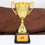 Trophy Cup